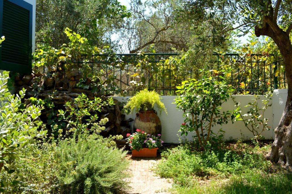 Regina Villa Kalo Chorio  Exterior photo